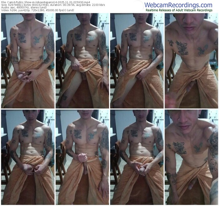 cam4-loboestepario14-11-01-2025-01-59-30