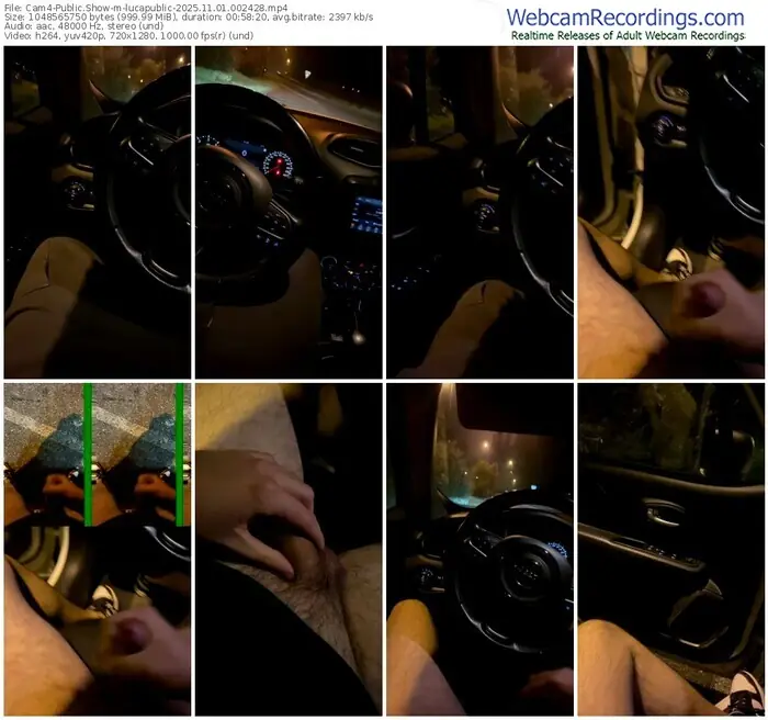 cam4-lucapublic-11-01-2025-00-24-28