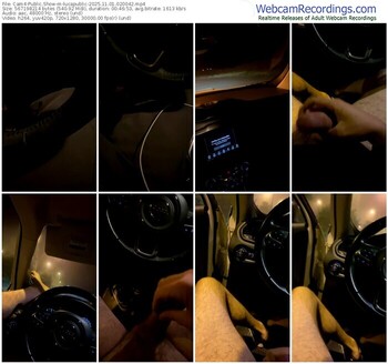 cam4-lucapublic-11-01-2025-02-00-42