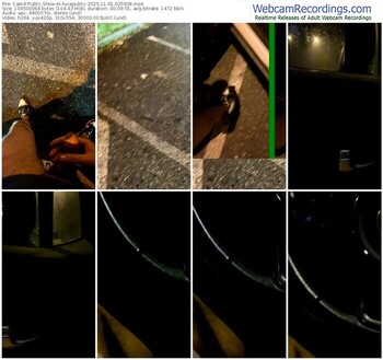 cam4-lucapublic-11-01-2025-02-59-08