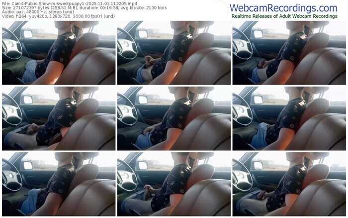 cam4-sweetpuppy1-11-01-2025-11-22-05