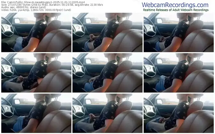 cam4-sweetpuppy1-11-01-2025-11-22-05