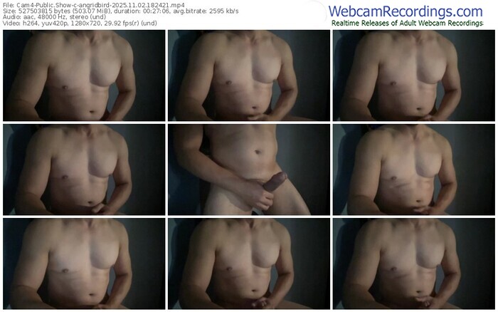 cam4-angridbird-11-02-2025-18-24-21