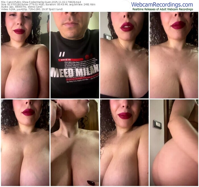 cam4-jokerharleyquen-11-02-2025-17-08-28