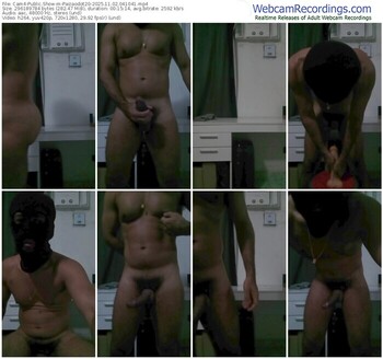 cam4-paizaodot20-11-02-2025-04-10-41