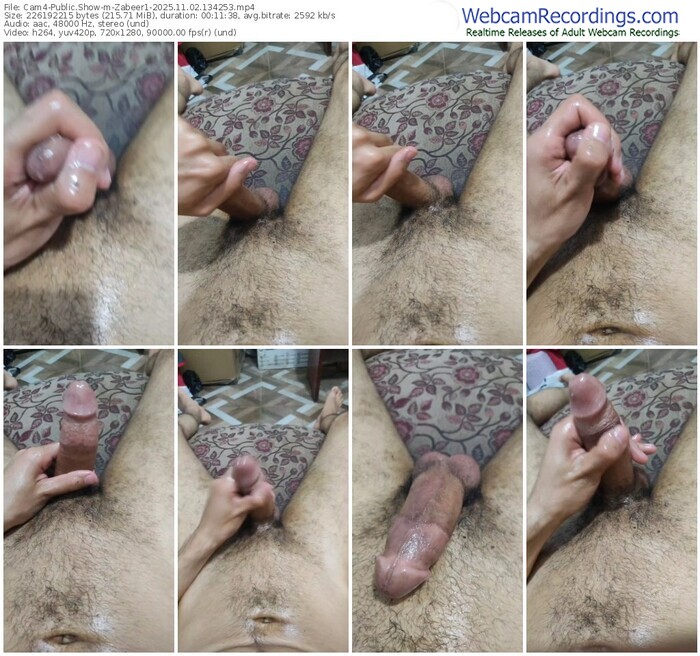 cam4-zabeer1-11-02-2025-13-42-53