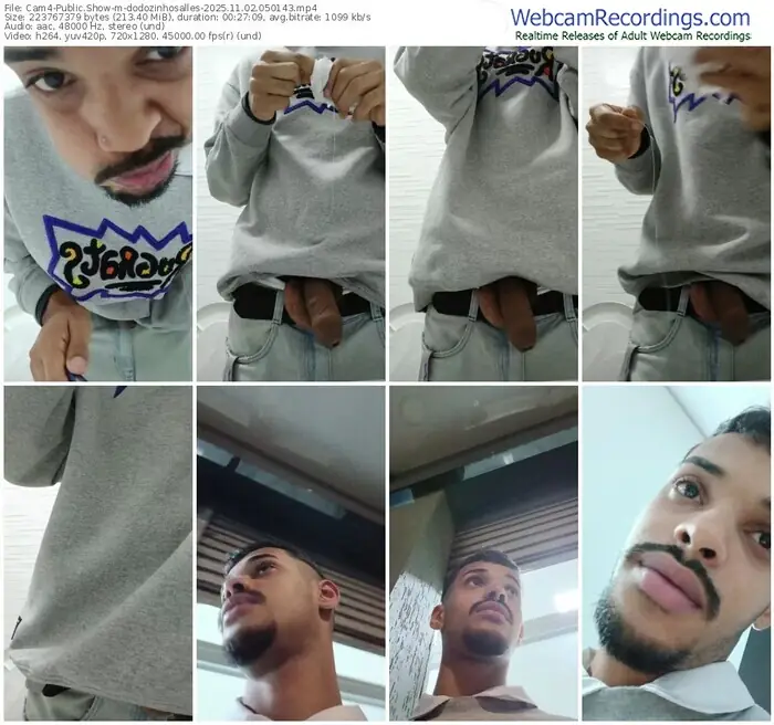 cam4-dodozinhosalles-11-02-2025-05-01-43