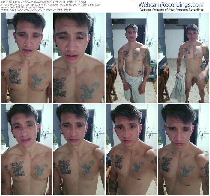 cam4-loboestepario14-11-02-2025-02-12-37