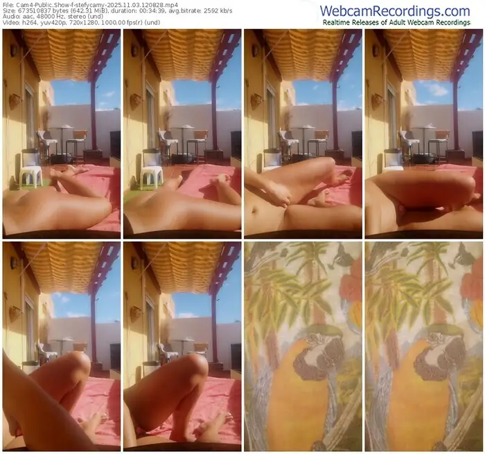 cam4-stefycamy-11-03-2025-12-08-28