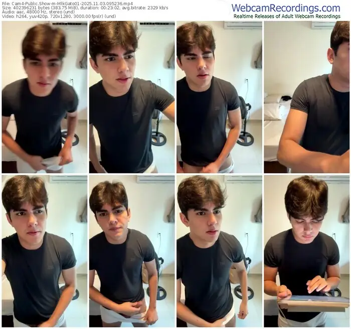 cam4-mlkgato01-11-03-2025-09-52-36