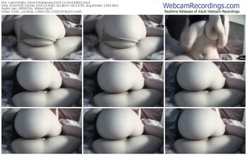 cam4-malamale-11-04-2025-03-46-42