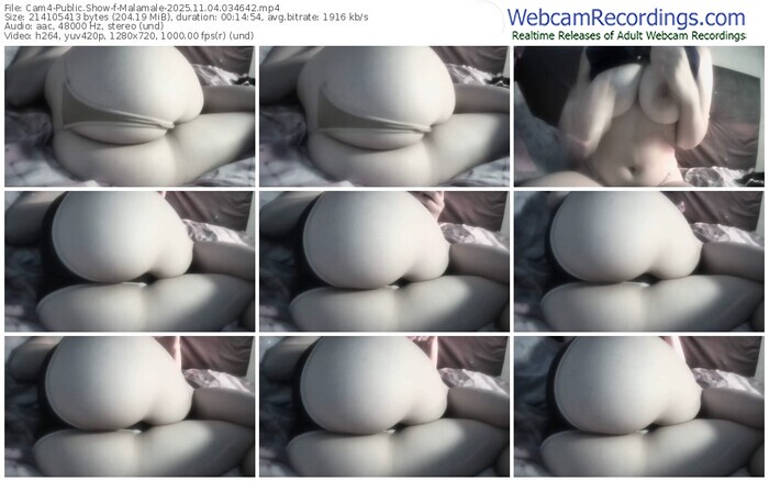 cam4-malamale-11-04-2025-03-46-42