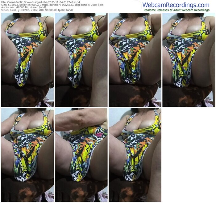 cam4-largadinha-11-04-2025-01-27-48