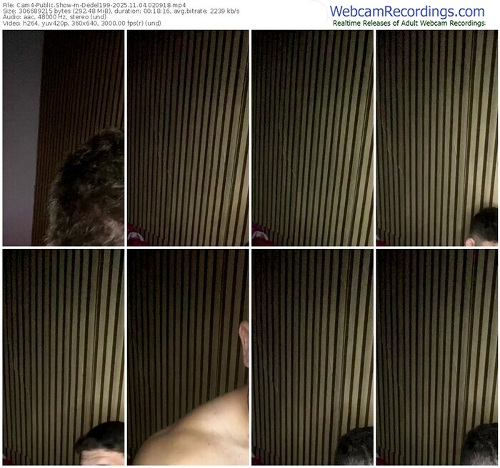 cam4-dedel199-11-04-2025-02-09-18