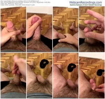 cam4-lionspaw-11-04-2025-00-50-14