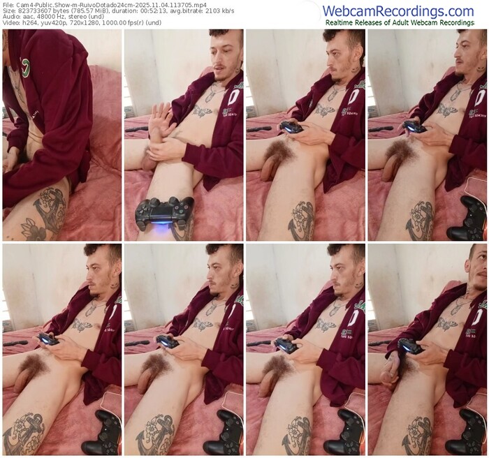 cam4-ruivodotado24cm-11-04-2025-11-37-05