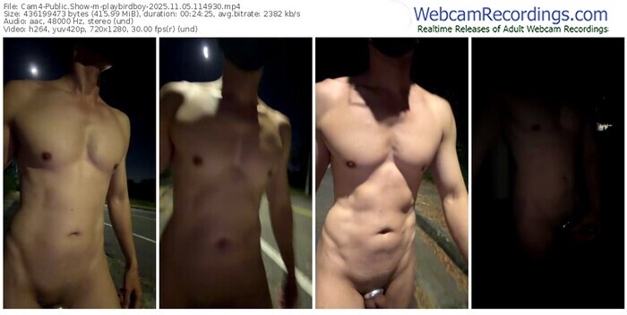 cam4-playbirdboy-11-05-2025-11-49-30