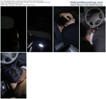 cam4-dodozinhosalles-11-08-2025-01-05-03