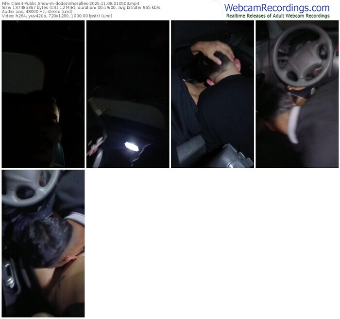 cam4-dodozinhosalles-11-08-2025-01-05-03