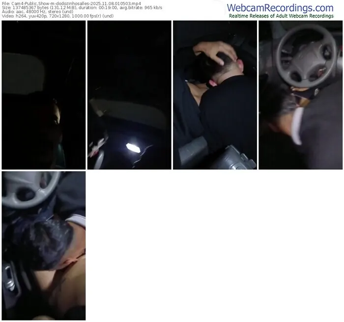 cam4-dodozinhosalles-11-08-2025-01-05-03