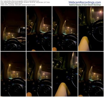 cam4-lucapublic-11-08-2025-02-46-34