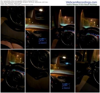 cam4-lucapublic-11-09-2025-01-27-57