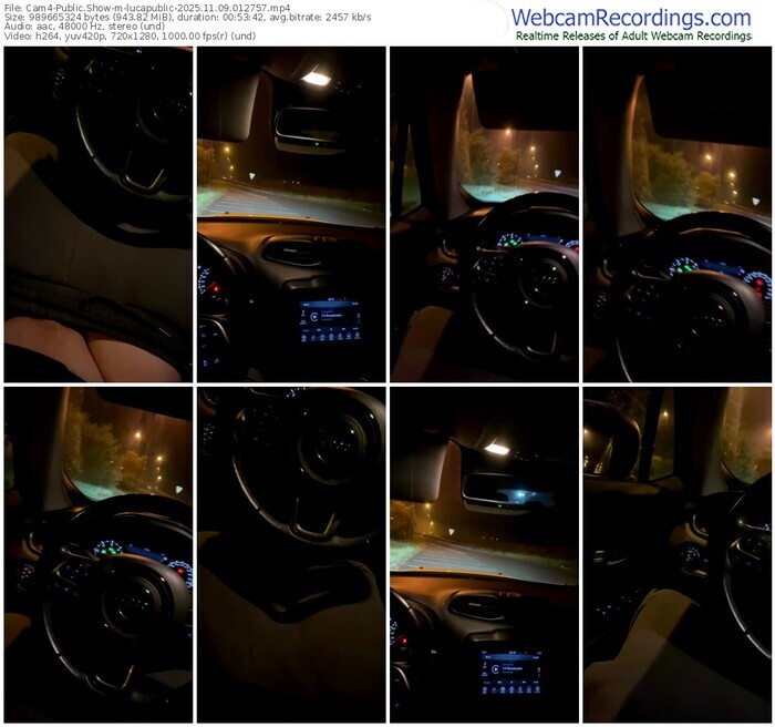 cam4-lucapublic-11-09-2025-01-27-57