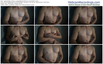 cam4-angridbird-11-10-2025-16-09-37