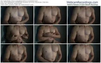 cam4-angridbird-11-10-2025-16-09-37