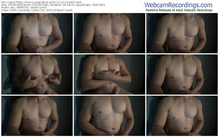 cam4-angridbird-11-10-2025-16-09-37