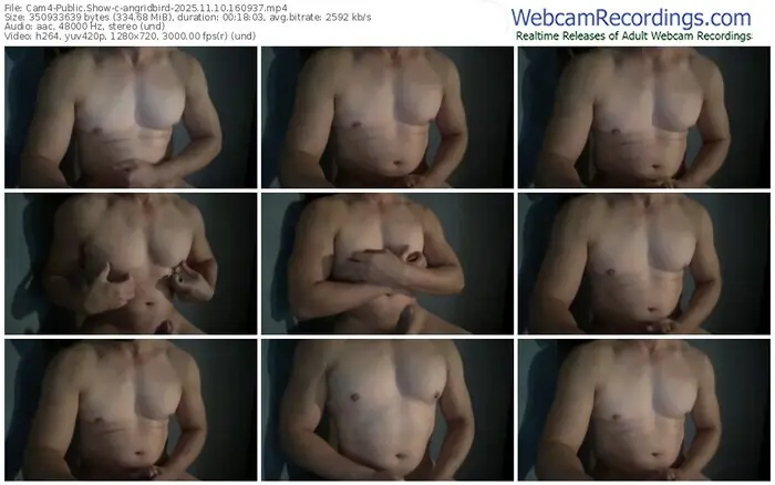 cam4-angridbird-11-10-2025-16-09-37