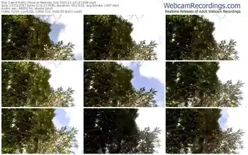 cam4-remote_live-11-10-2025-21-19-38