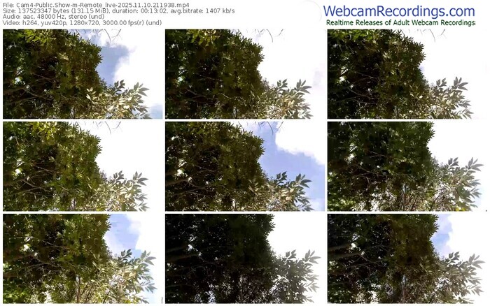 cam4-remote_live-11-10-2025-21-19-38