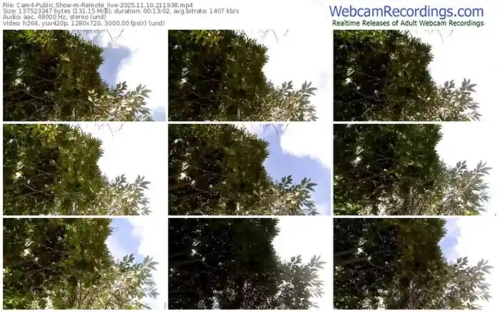 cam4-remote_live-11-10-2025-21-19-38