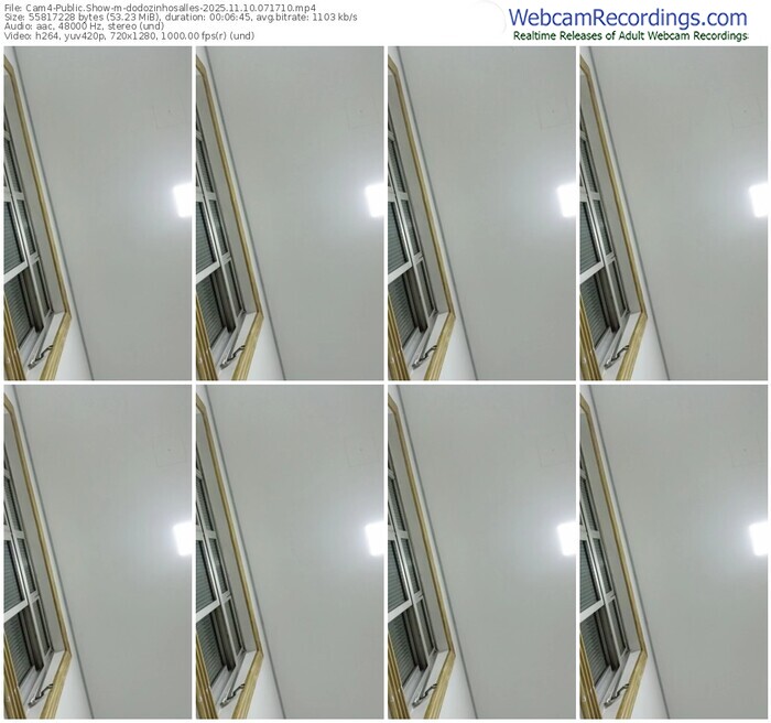 cam4-dodozinhosalles-11-10-2025-07-17-10