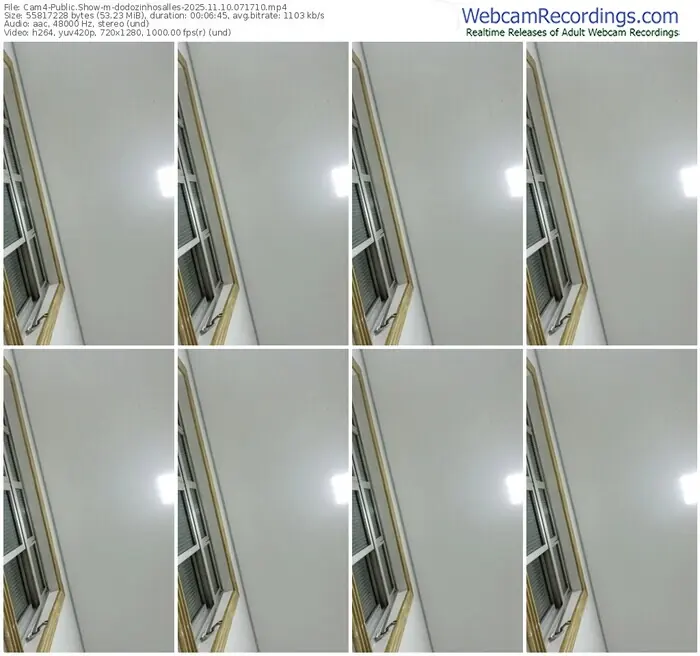 cam4-dodozinhosalles-11-10-2025-07-17-10