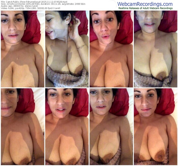 cam4-brunedusud-11-12-2025-07-45-28