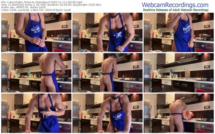 cam4-gitanoboy4-11-12-2025-12-02-26