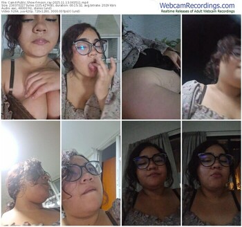 cam4-moon_ray-11-13-2025-06-35-11