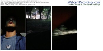 cam4-dodozinhosalles-11-13-2025-03-02-53