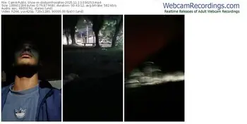 cam4-dodozinhosalles-11-13-2025-03-02-53