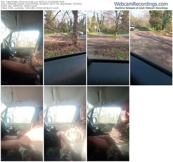 cam4-nudo_xxx-11-13-2025-09-44-41