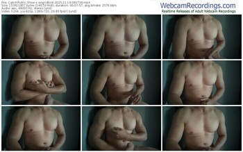 cam4-angridbird-11-14-2025-08-07-38