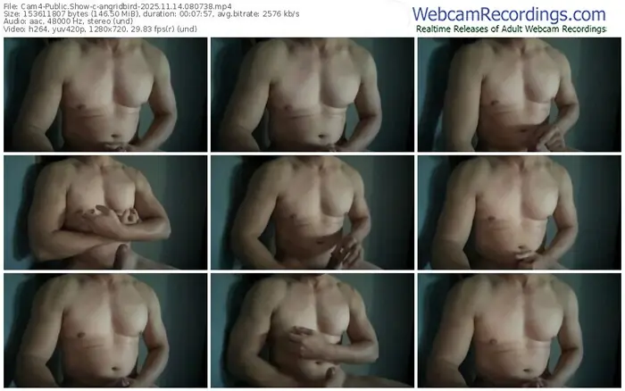 cam4-angridbird-11-14-2025-08-07-38