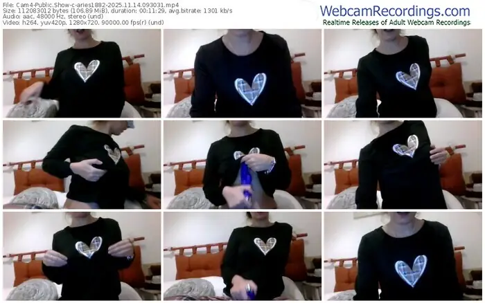 cam4-aries1882-11-14-2025-09-30-31