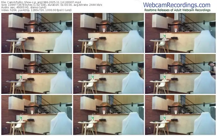 cam4-p_arg1986-11-14-2025-18-39-07