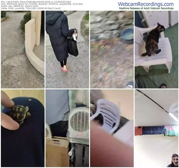 cam4-petitebombe34-11-14-2025-08-42-33