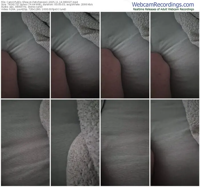 cam4-fetichessss1-11-14-2025-08-30-27