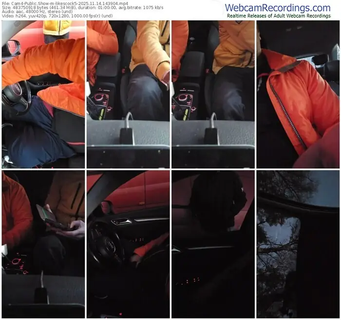 cam4-likescock5-11-14-2025-14-39-04