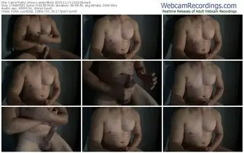 cam4-angridbird-11-15-2025-16-31-38